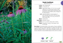 Wildflowers of Wisconsin Field Guide