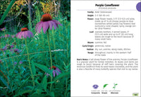 Wildflowers of Wisconsin Field Guide