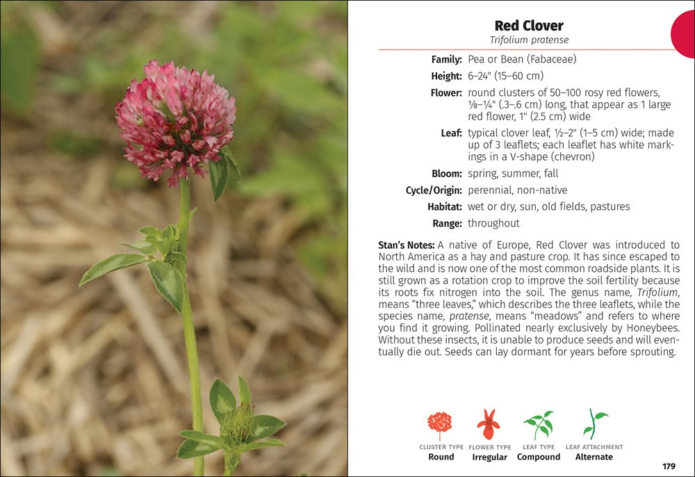 Wildflowers of Wisconsin Field Guide