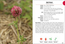 Wildflowers of Wisconsin Field Guide