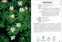 Wildflowers of Wisconsin Field Guide