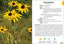 Wildflowers of Wisconsin Field Guide