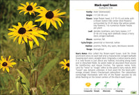 Wildflowers of Wisconsin Field Guide