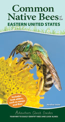 Common Native Bees of the Eastern United States: Your Way to Easily Identify Bees and Look-Alikes