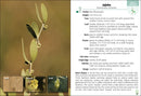 Trees of Arizona Field Guide