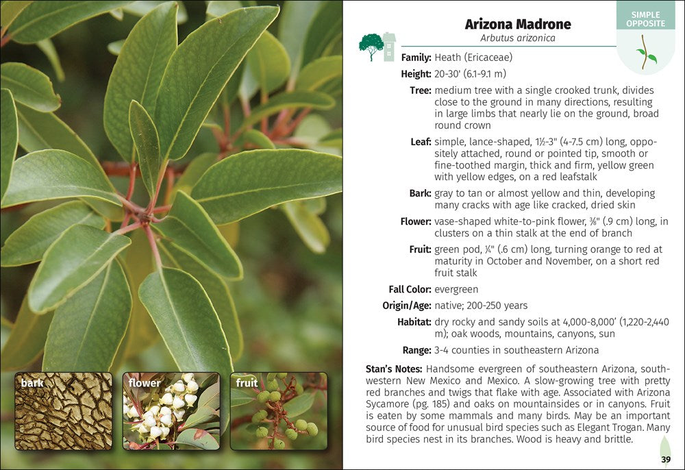 Trees of Arizona Field Guide