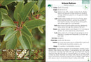 Trees of Arizona Field Guide