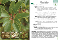 Trees of Arizona Field Guide