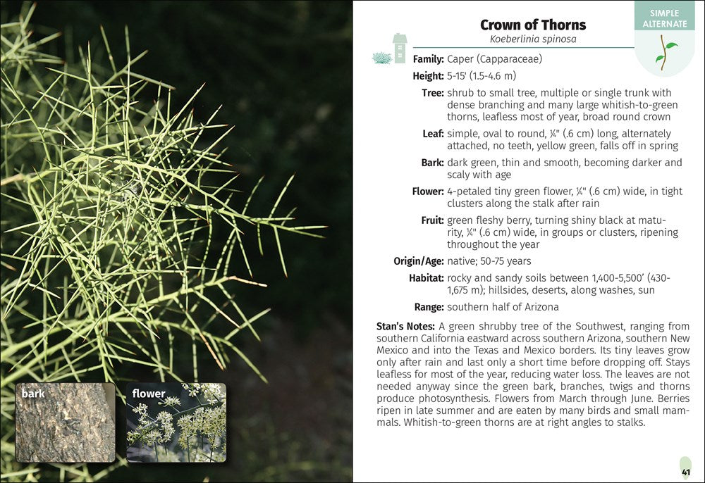 Trees of Arizona Field Guide