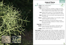 Trees of Arizona Field Guide