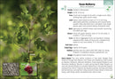 Trees of Arizona Field Guide