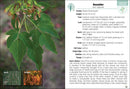 Trees of Arizona Field Guide