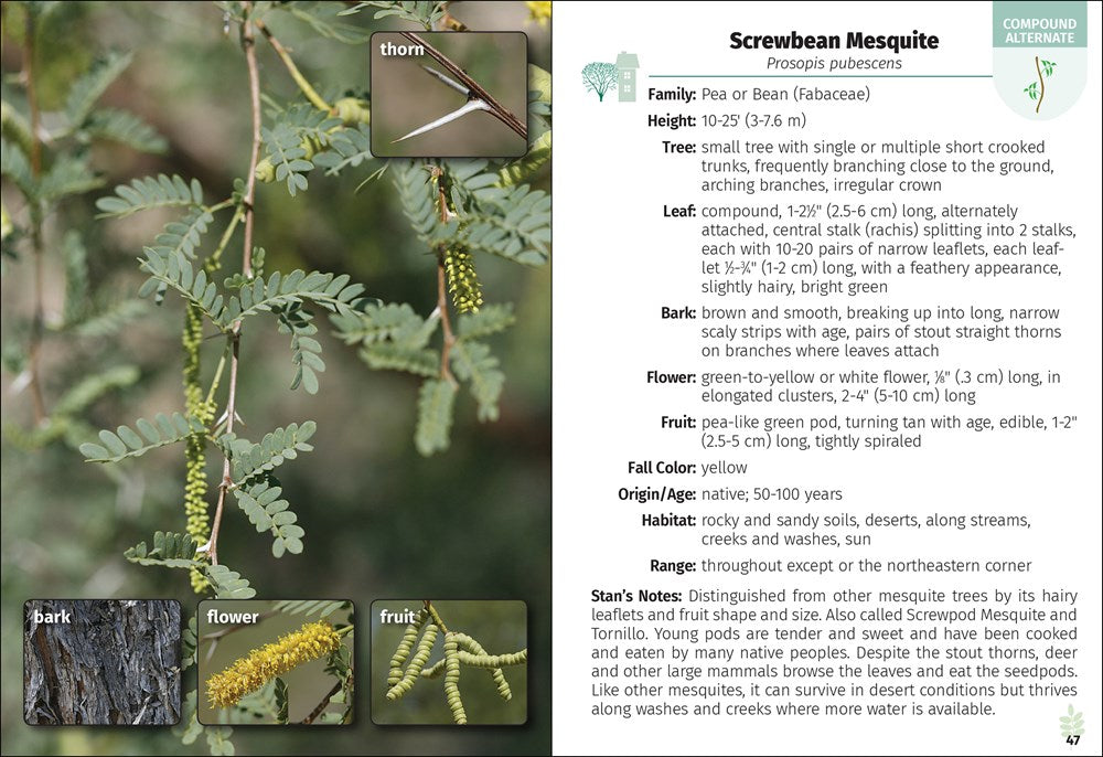 Trees of Arizona Field Guide