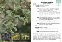 Trees of Arizona Field Guide