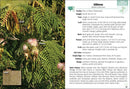 Trees of Arizona Field Guide