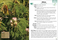 Trees of Arizona Field Guide