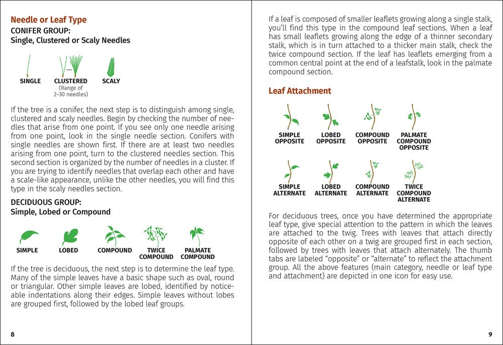 Trees of Arizona Field Guide