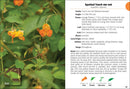 Wildflowers of the Carolinas Field Guide
