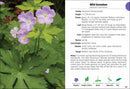 Wildflowers of the Carolinas Field Guide