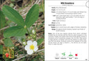 Wildflowers of the Carolinas Field Guide