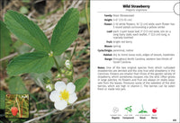 Wildflowers of the Carolinas Field Guide