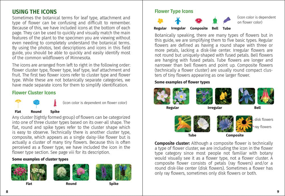 Wildflowers of the Carolinas Field Guide