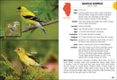 Birds of Illinois Field Guide