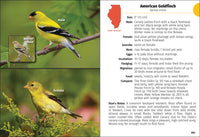 Birds of Illinois Field Guide
