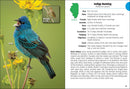Birds of Illinois Field Guide