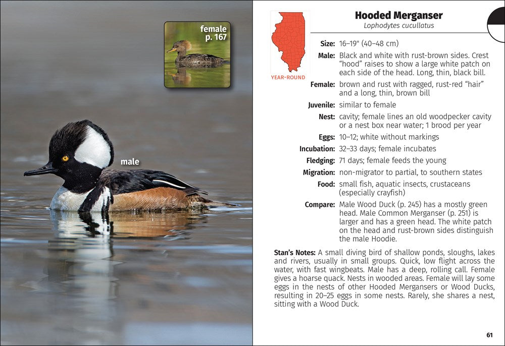 Birds of Illinois Field Guide