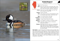Birds of Illinois Field Guide
