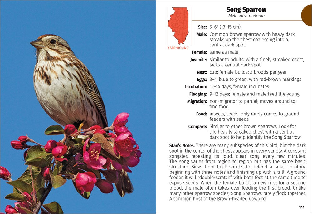 Birds of Illinois Field Guide
