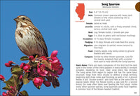 Birds of Illinois Field Guide