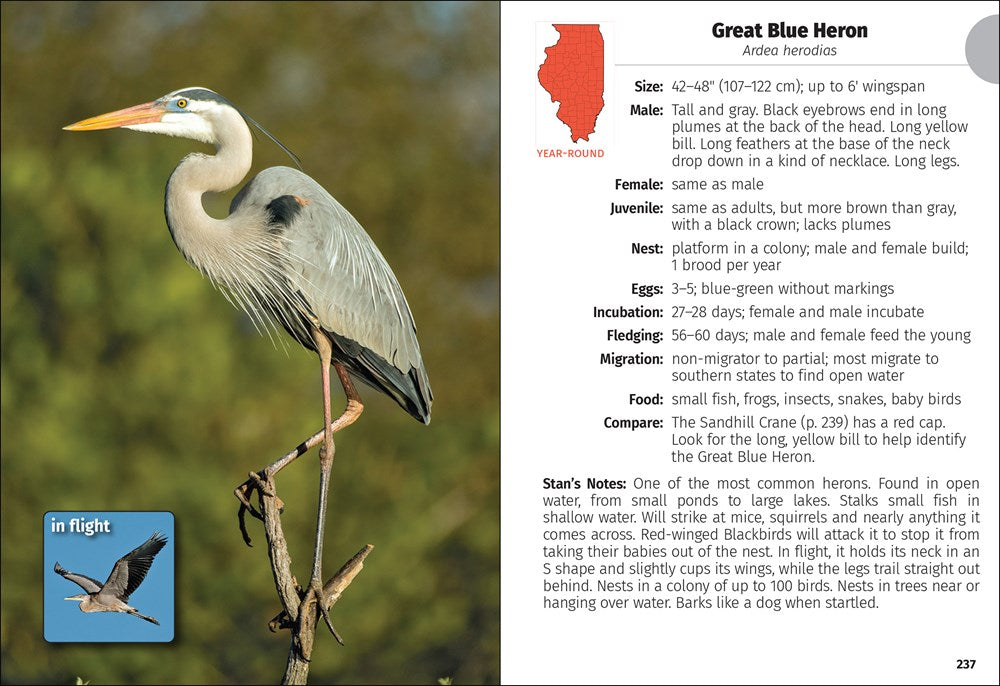 Birds of Illinois Field Guide