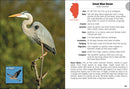 Birds of Illinois Field Guide