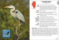 Birds of Illinois Field Guide
