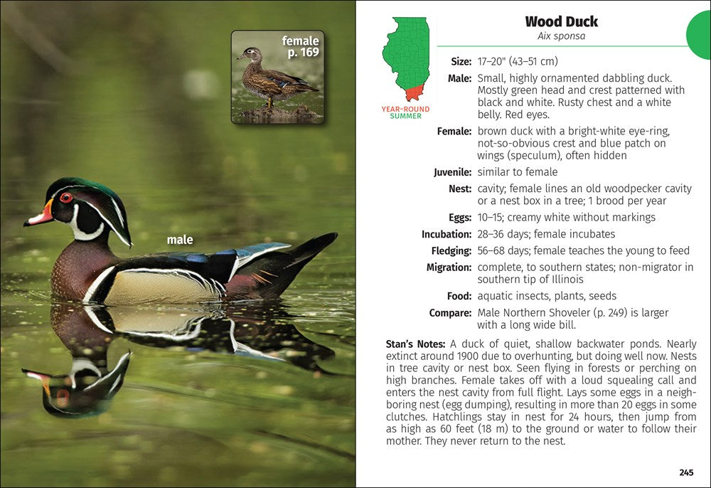 Birds of Illinois Field Guide
