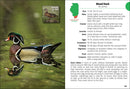 Birds of Illinois Field Guide