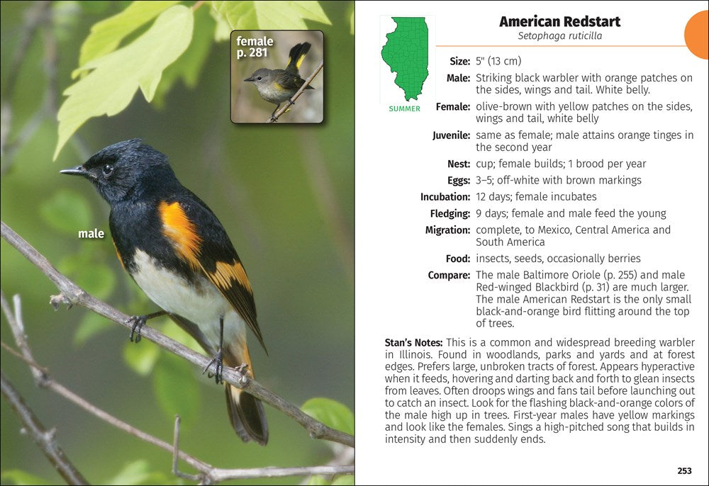 Birds of Illinois Field Guide