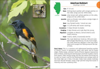 Birds of Illinois Field Guide