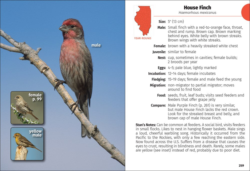 Birds of Illinois Field Guide