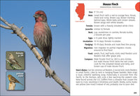 Birds of Illinois Field Guide