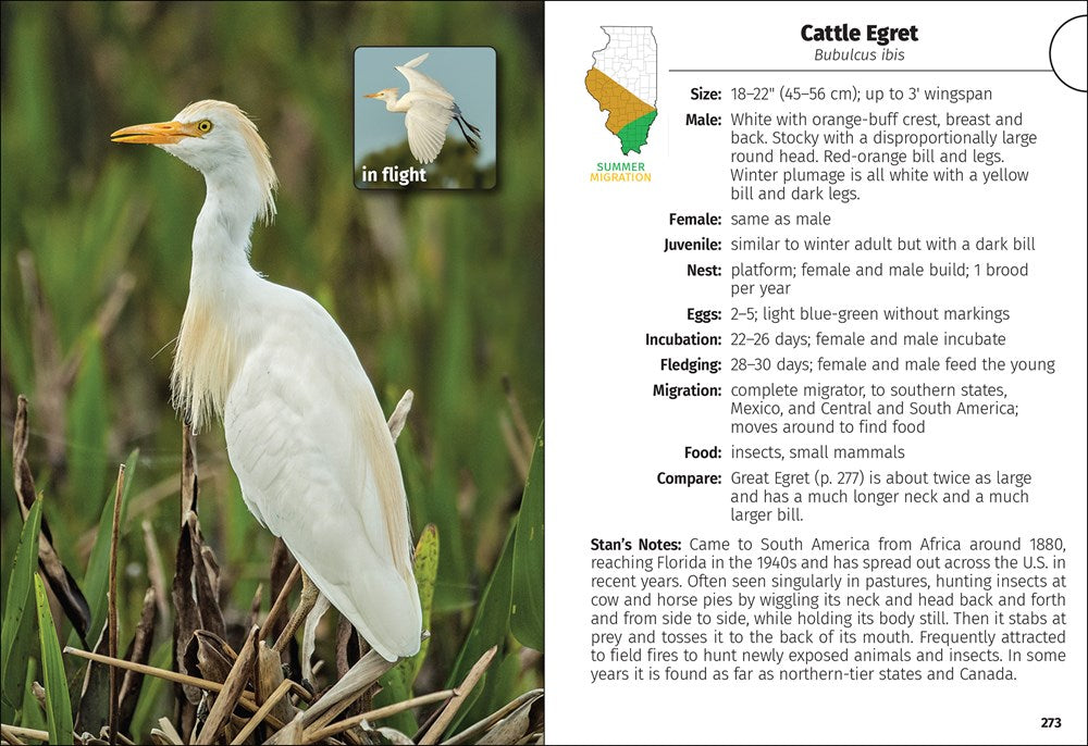 Birds of Illinois Field Guide