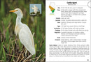 Birds of Illinois Field Guide