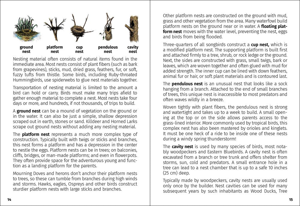 Birds of Iowa Field Guide