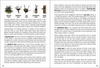 Birds of Iowa Field Guide
