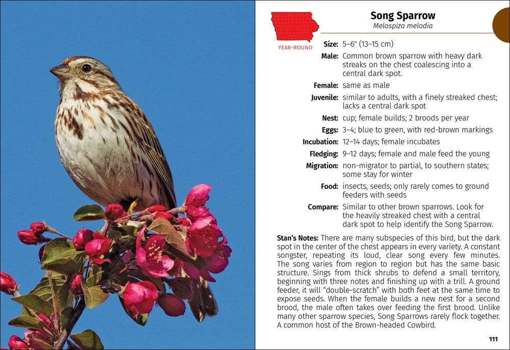 Birds of Iowa Field Guide
