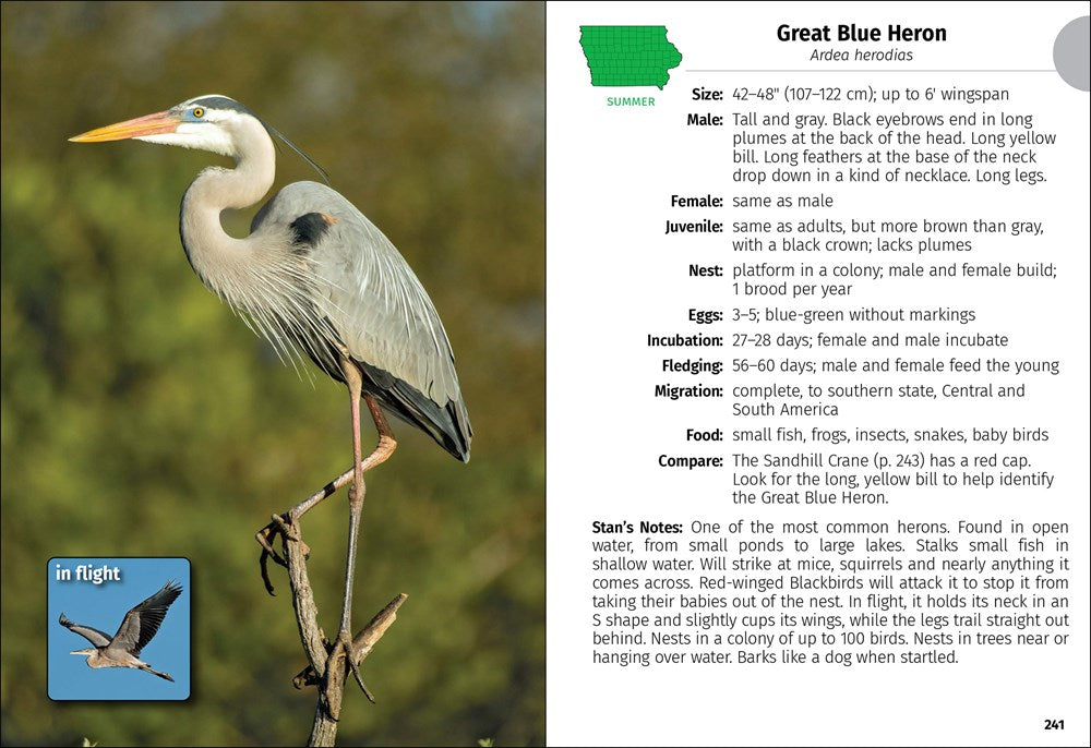 Birds of Iowa Field Guide