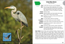 Birds of Iowa Field Guide