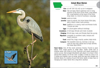 Birds of Iowa Field Guide